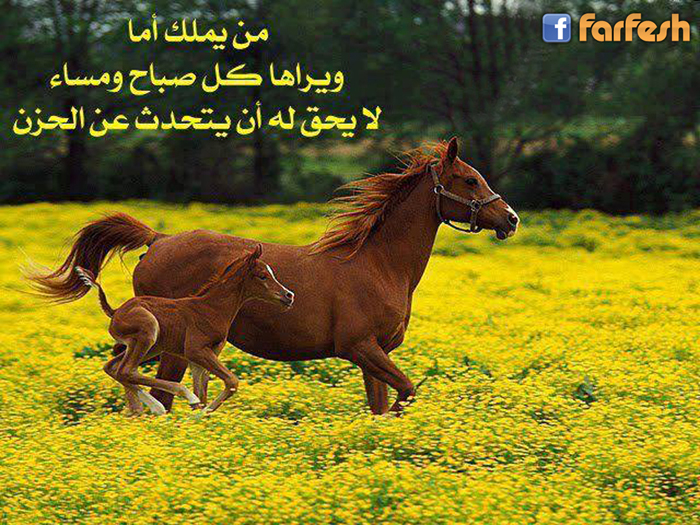 �� ���� ��� ������ �� ��� �� ��� �� �� ����� �� �����