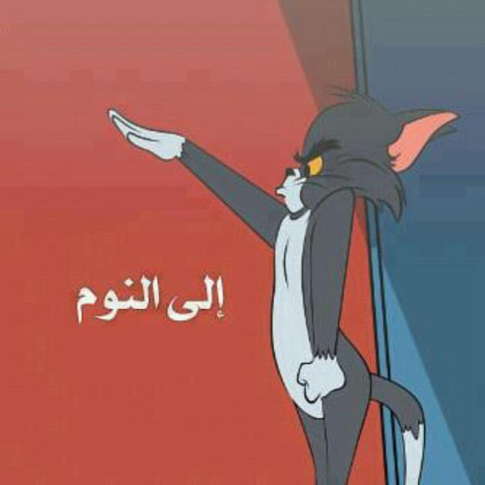 ������ ��� ���