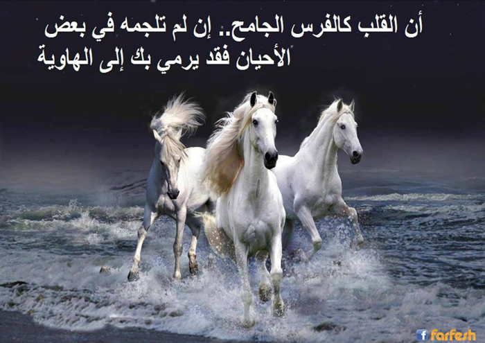 �� ����� ������ ������....!