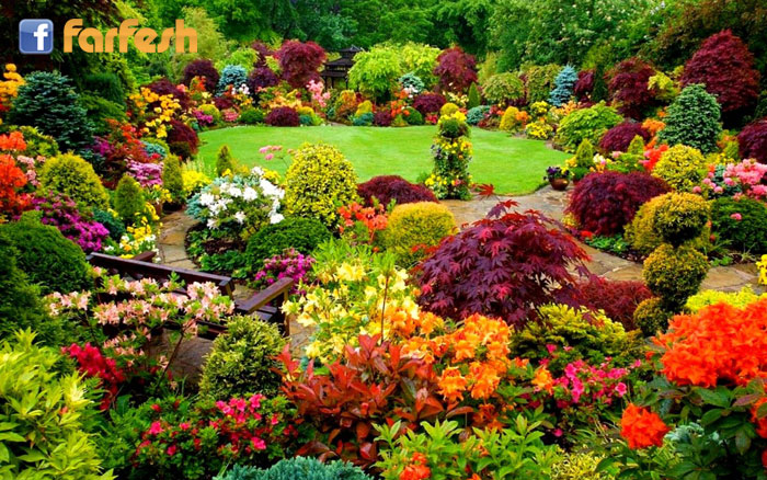 �� ���� �������