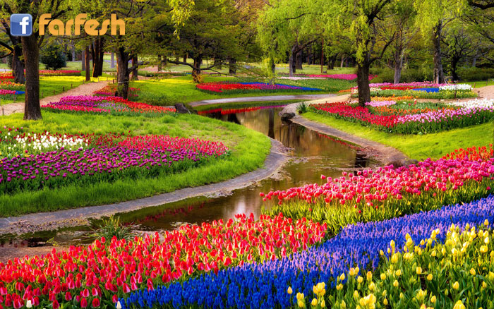 �� ���� �������