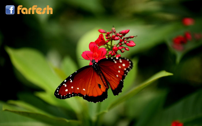 �� ���� �� ���