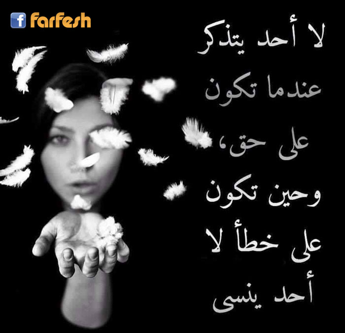 ������ �� ���� ����� ���  ���� ������ �����