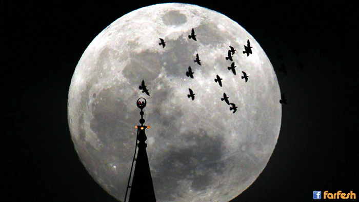 ����� ����� �������