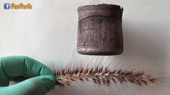 ��� ���� �� ������ ��� ������� �������