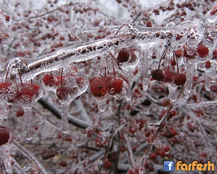 ���� ���� ������