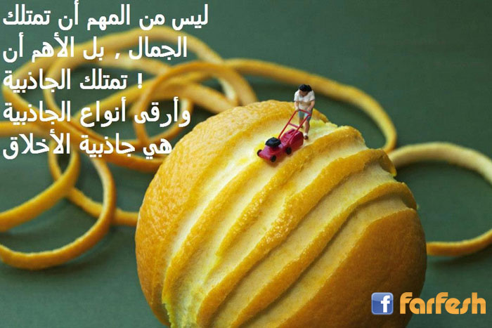 ��� ��� ������ ������� ����� ������ �������