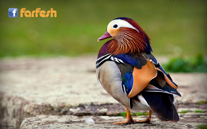 ����� ���� �� �� ����