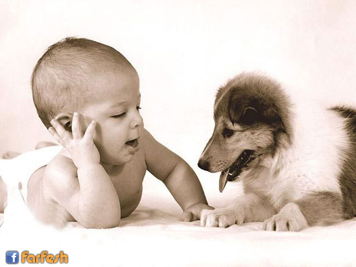 �� ��� �� ���.. �� ����