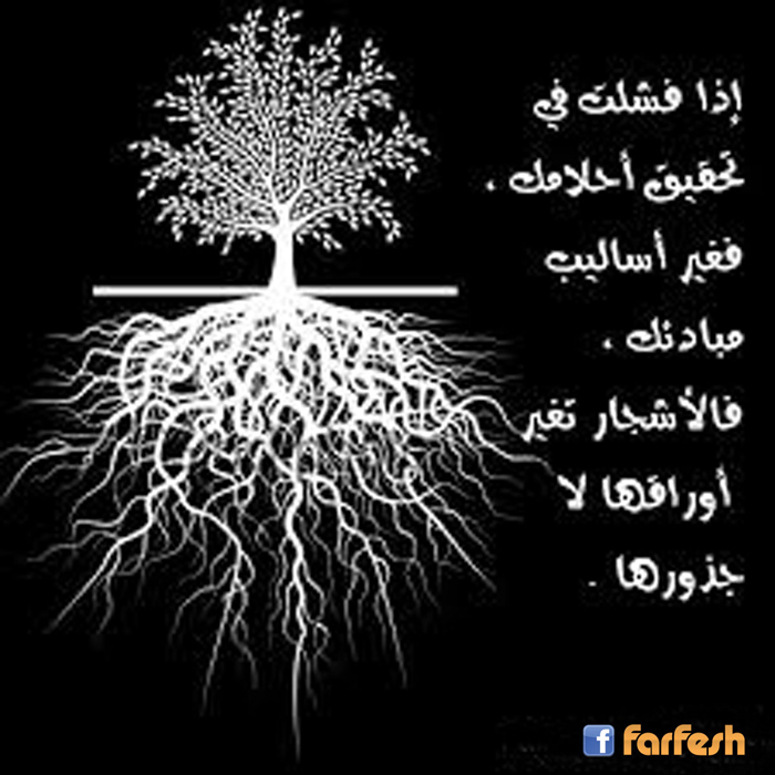 ��� ���� �� ����� ������ ���� ������ �����