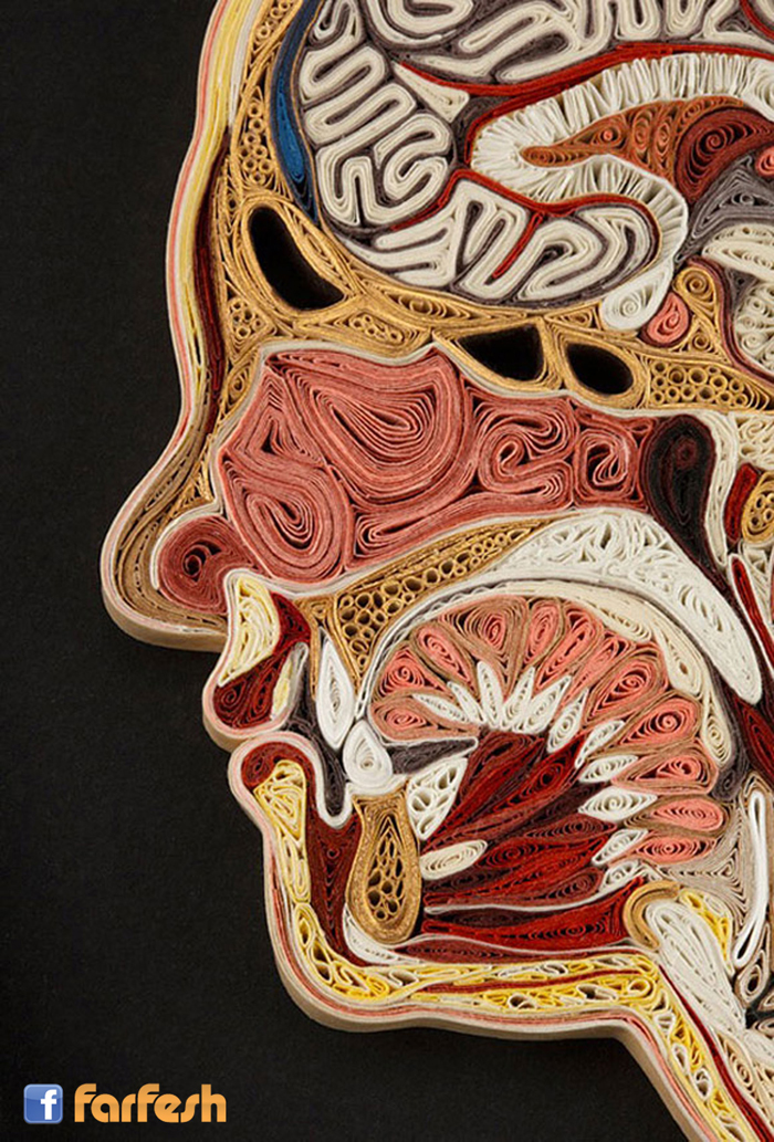 �� �� ����� .. ���� �� ���� ����� ���� �������