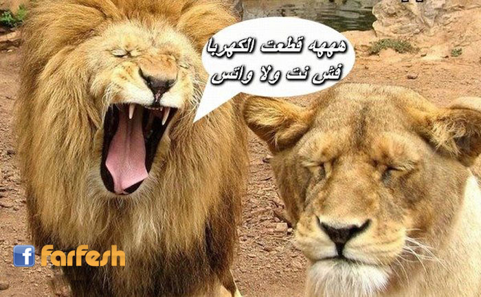 �� �� ��� ���� ��