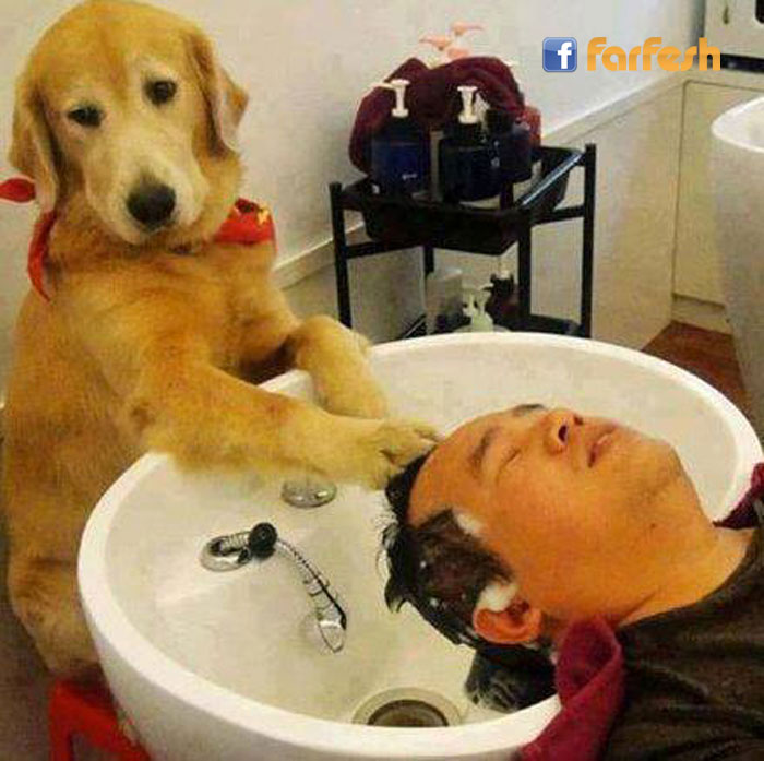 ����� �� ����� �������