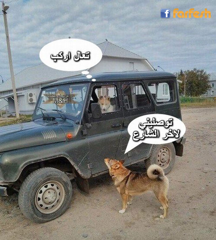 ������� ���� �����ڿ