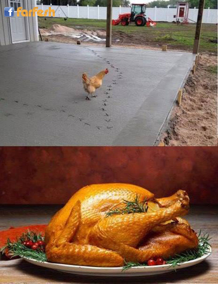 ��� ������� ����� ����