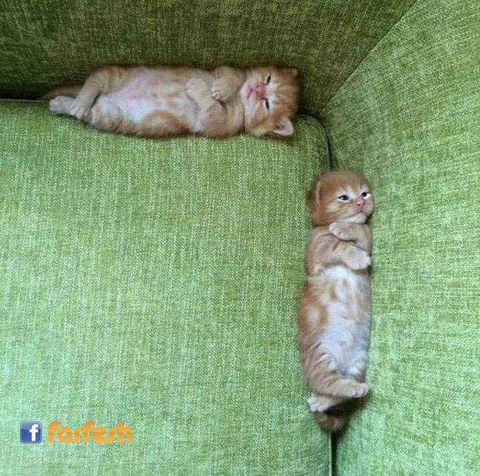 ������� �� ���