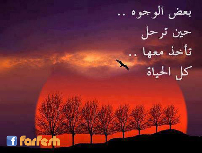 ��� ������ ��� ���� ���� ���� �� ������