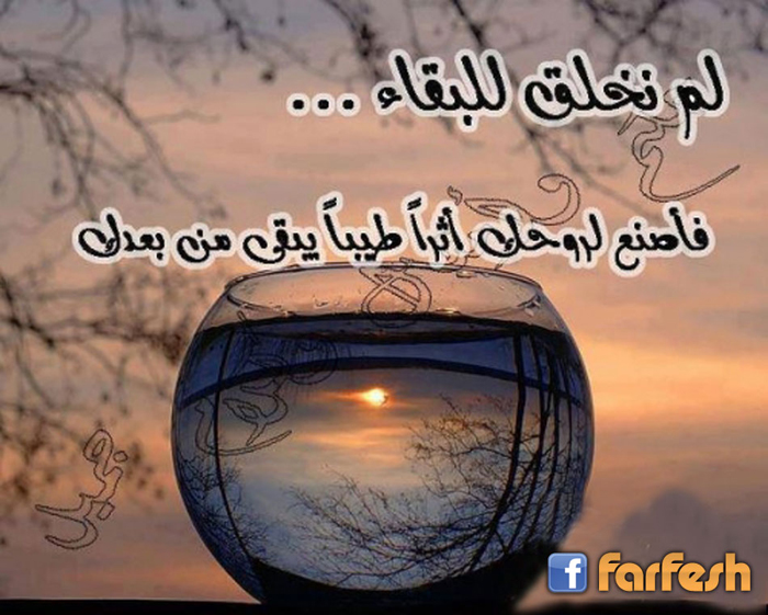 �� ���� ������