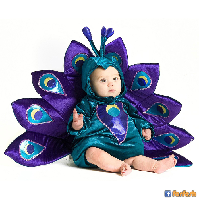 �� ���� ����� �������