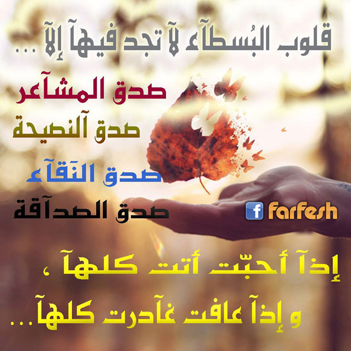 ��� ������