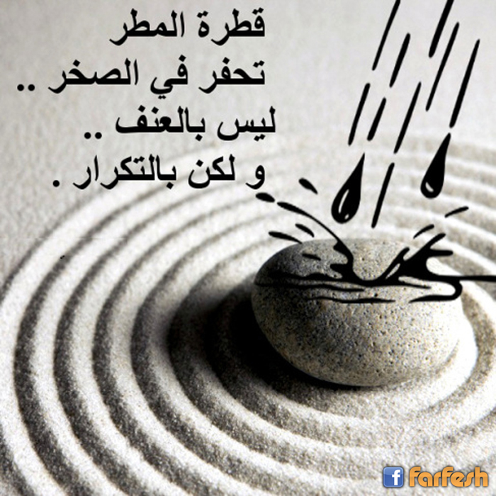 ��� ������ ���� ��������