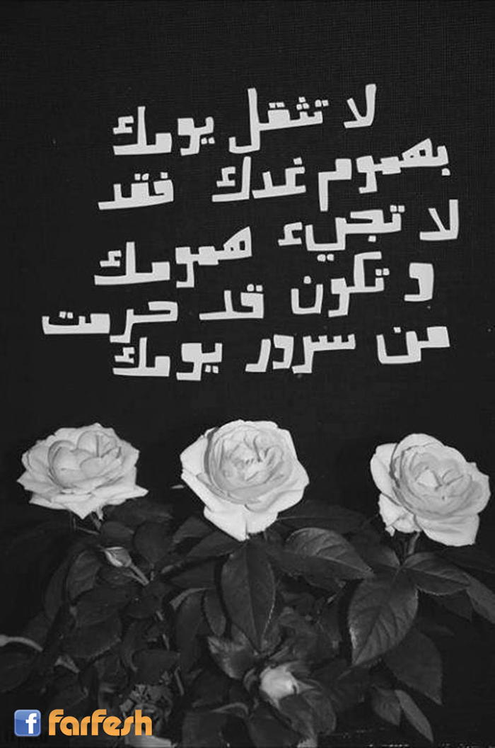 �� ���� ���� �����