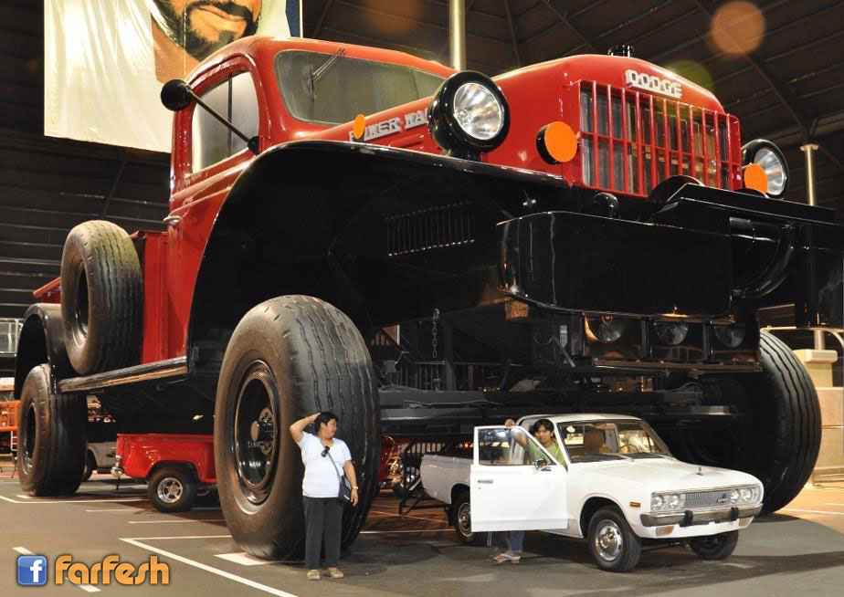 ���� ����� �� ���