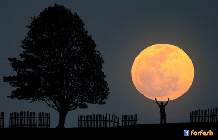 ����� ���� ����� ���� �� ���� ����� ������ 