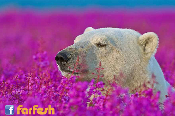 �� ���� ��� ������ 