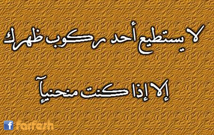 �� �����