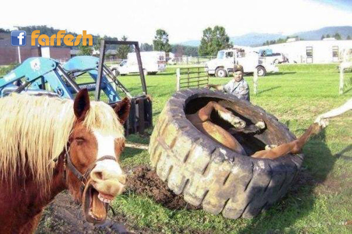 �������� ����