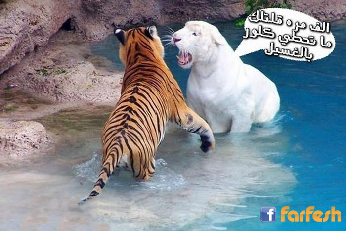 �� ���� ���� �������