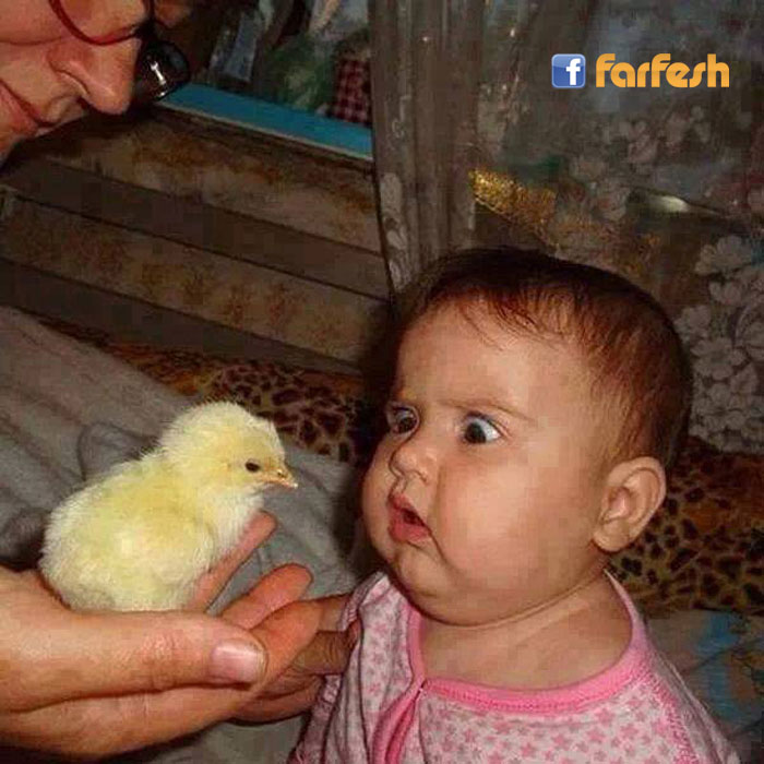 ��� ��� �����ѿ