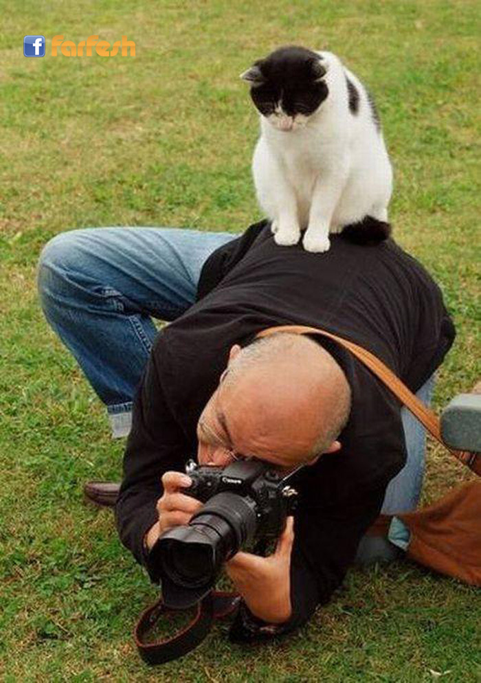 ��� ����� ������ ���