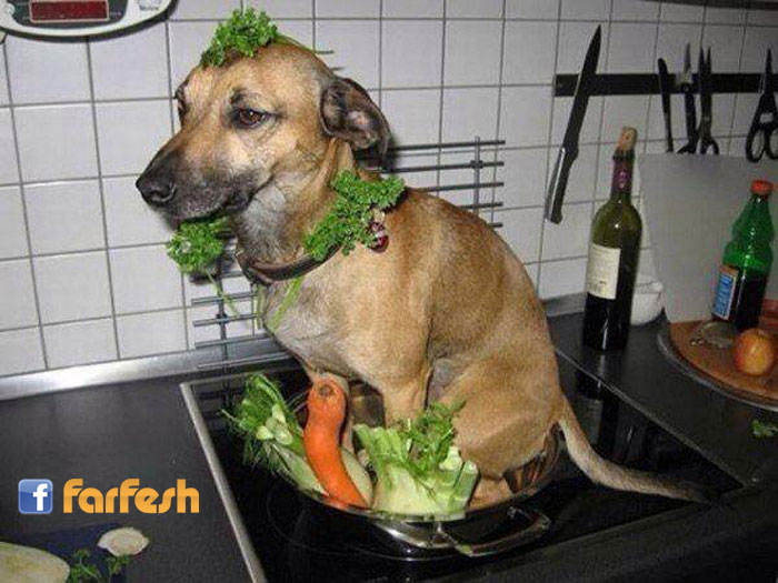 ���� ���� ����