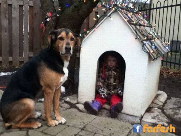 ���� ��� ���� ������ !!!