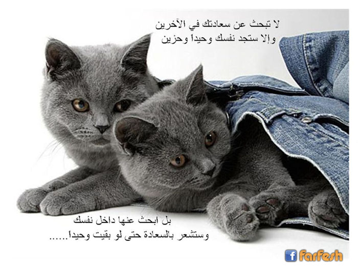 ������� ��� �� ����