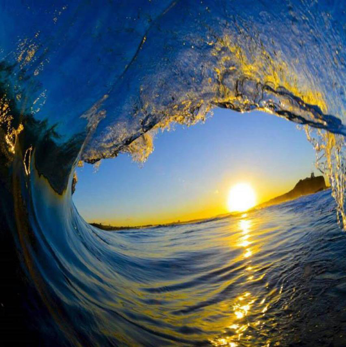 ���� ����� �������