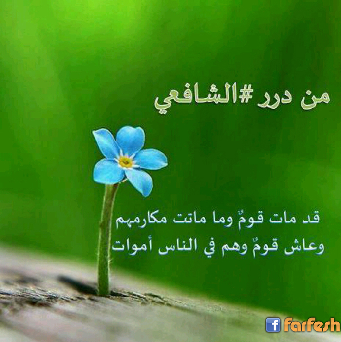 ����� ���� ������ ������� ���� �������