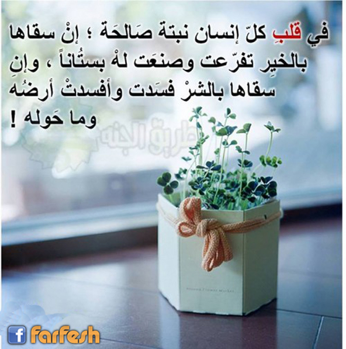 �� ��� �� ����� ���� �����