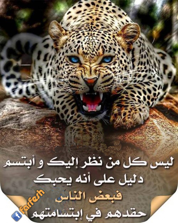 ��� �� �� ��� ���� ������  ���� ��� ����