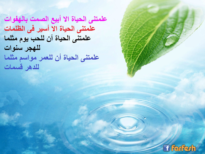 ������ ������� �� ���� �����