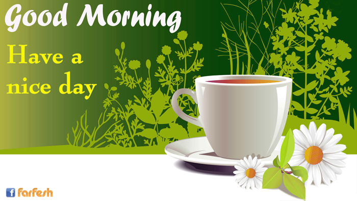 ���� ���� ������� ���� ����� ������ ����� ���� ����