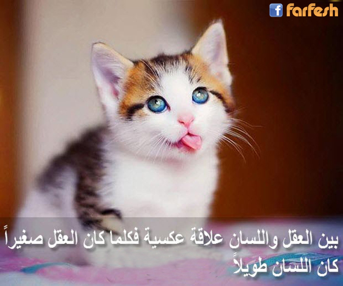 ��� ����� ������� ����� �����..