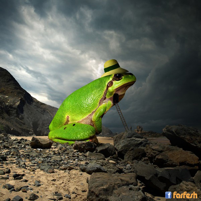 ���� ������� �����