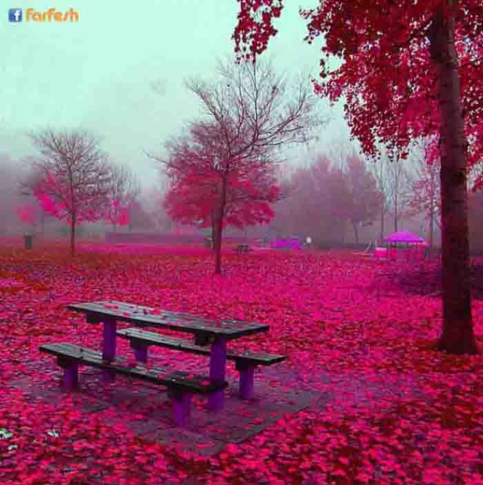 ����� ������ ���� �� ������� �������� .. �����.. ���������.. �������