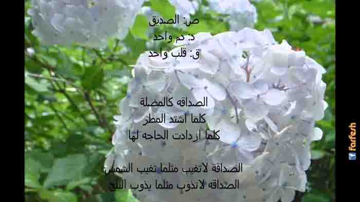 ������ �� ��� ���� �� ���� �������� ��������