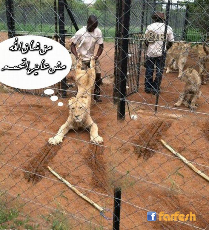 �� ���� ����� 