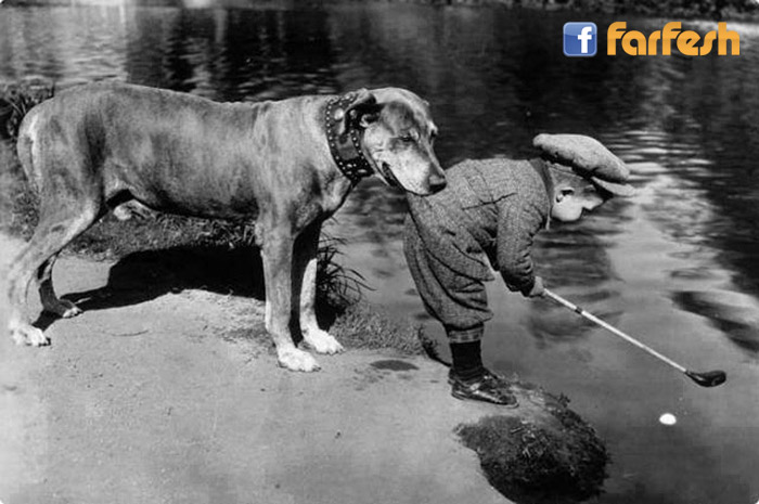 ���� ���� ���� 1920