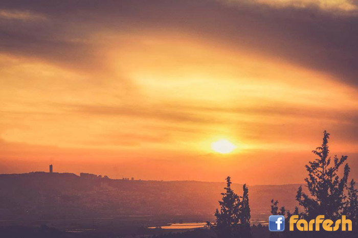 �� ���� ���� �� ������